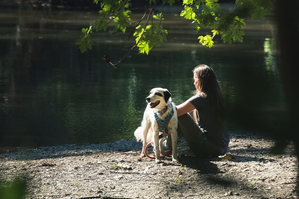 photo of woman sitting next to a river with her dog